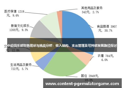 中超俱乐部财务现状与挑战分析：收入结构、支出管理及可持续发展路径探讨