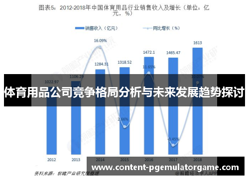 体育用品公司竞争格局分析与未来发展趋势探讨