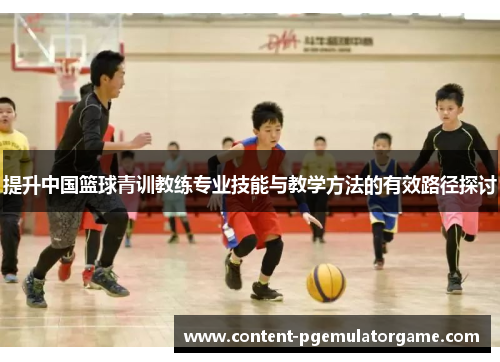 提升中国篮球青训教练专业技能与教学方法的有效路径探讨