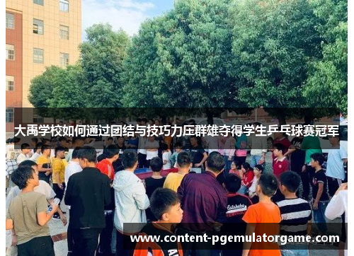 大禹学校如何通过团结与技巧力压群雄夺得学生乒乓球赛冠军