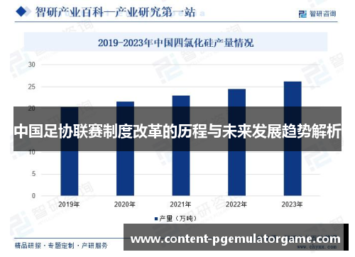 中国足协联赛制度改革的历程与未来发展趋势解析