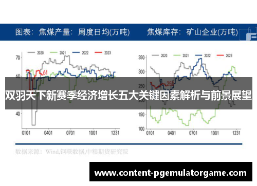 双羽天下新赛季经济增长五大关键因素解析与前景展望