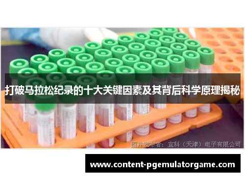 打破马拉松纪录的十大关键因素及其背后科学原理揭秘
