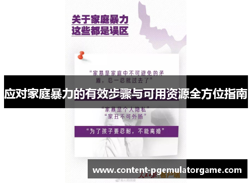 应对家庭暴力的有效步骤与可用资源全方位指南
