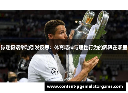 球迷极端举动引发反思：体育精神与理性行为的界限在哪里