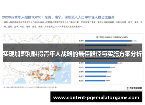 实现加盟利雅得青年人战略的最佳路径与实施方案分析