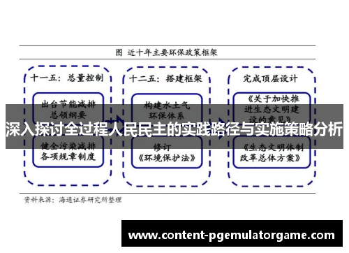 深入探讨全过程人民民主的实践路径与实施策略分析