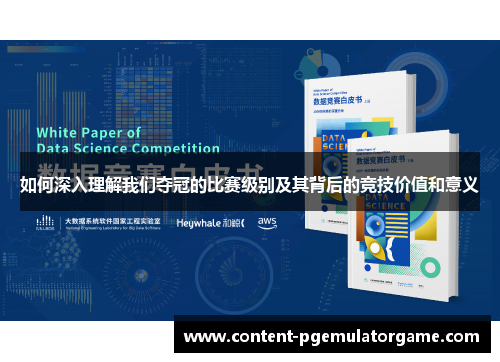 如何深入理解我们夺冠的比赛级别及其背后的竞技价值和意义