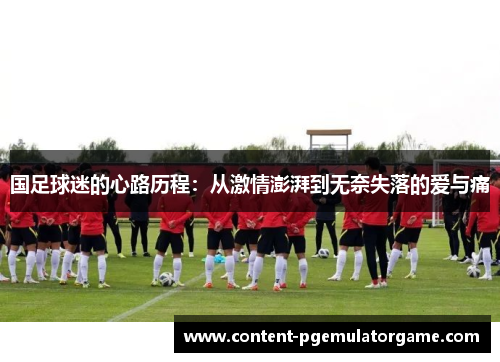 国足球迷的心路历程：从激情澎湃到无奈失落的爱与痛