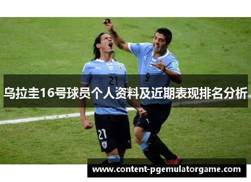 乌拉圭16号球员个人资料及近期表现排名分析