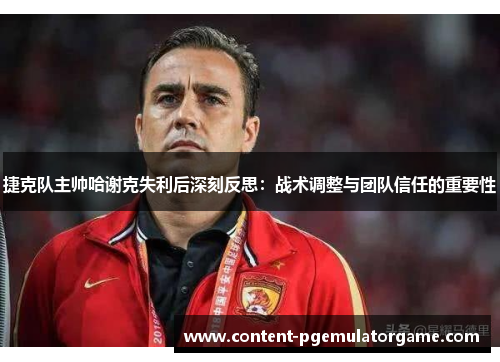 捷克队主帅哈谢克失利后深刻反思：战术调整与团队信任的重要性
