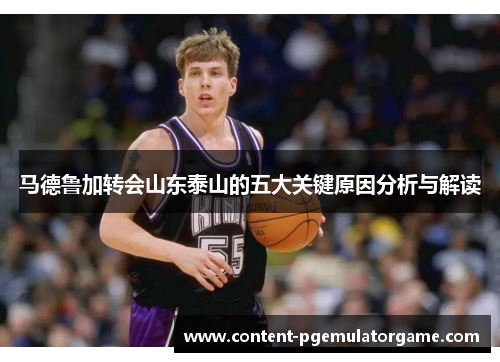 马德鲁加转会山东泰山的五大关键原因分析与解读