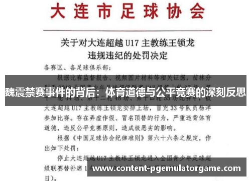 魏震禁赛事件的背后：体育道德与公平竞赛的深刻反思
