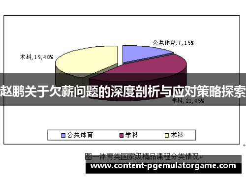 赵鹏关于欠薪问题的深度剖析与应对策略探索