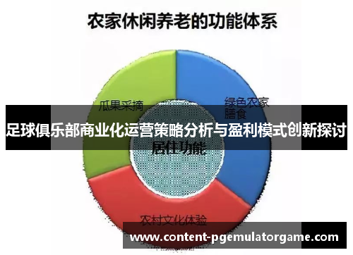 足球俱乐部商业化运营策略分析与盈利模式创新探讨