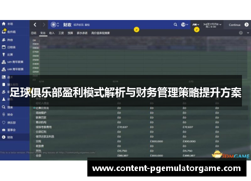 足球俱乐部盈利模式解析与财务管理策略提升方案
