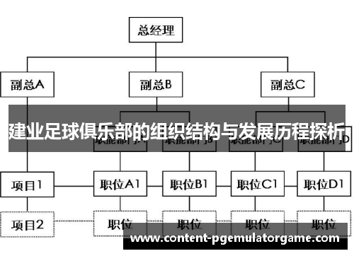 建业足球俱乐部的组织结构与发展历程探析
