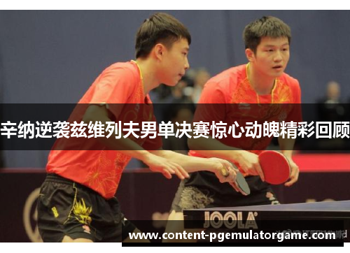 辛纳逆袭兹维列夫男单决赛惊心动魄精彩回顾