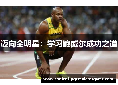 迈向全明星：学习鲍威尔成功之道