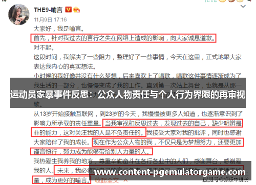 运动员家暴事件反思：公众人物责任与个人行为界限的再审视