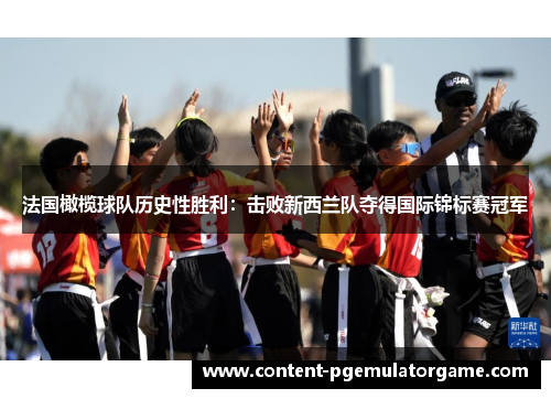 法国橄榄球队历史性胜利：击败新西兰队夺得国际锦标赛冠军