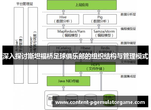 深入探讨斯坦福桥足球俱乐部的组织结构与管理模式