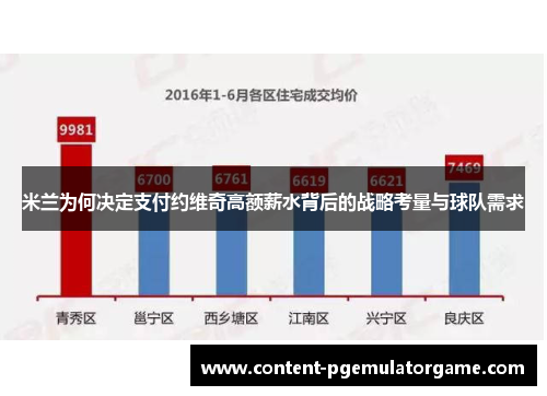 米兰为何决定支付约维奇高额薪水背后的战略考量与球队需求