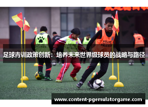 足球青训政策创新：培养未来世界级球员的战略与路径