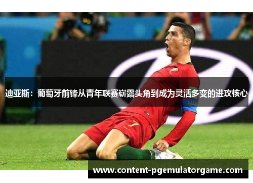 迪亚斯：葡萄牙前锋从青年联赛崭露头角到成为灵活多变的进攻核心